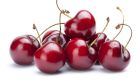 The Irish wild cherry (silín) is a hard one to find nowadays, but it has sustained us on this island since at least the Bronze Age. Photograph: iStock