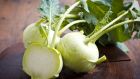 If you can’t get kohlrabi - though they are turning up in increasing numbers in vegetable delivery boxes - substitute a cauliflower, beetroot or celeriac and cook in the same manner