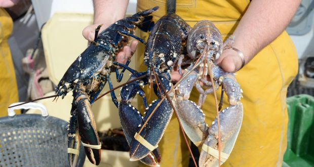 Under the agreement announced on Friday, the EU will eliminate tariffs on US lobster products, worth about $111 million (€94 million) a year. Photograph: Dara Mac Donaill / The Irish Times