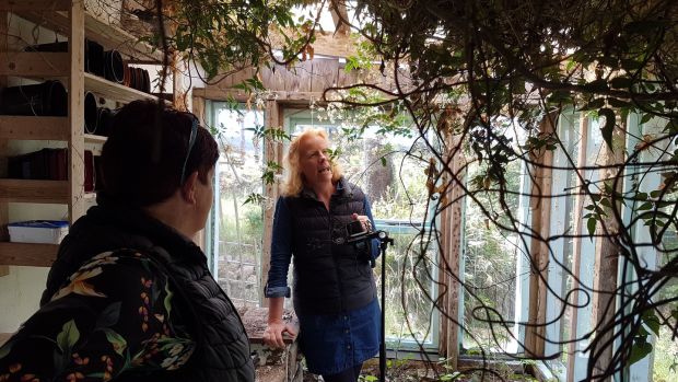 Sinead Foyle tells the story to Ann King in Alannah Robbins’s greenhouse in Connemara, June 2020