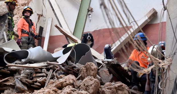   Chilean dog Fletch leads rescue workers in a search after a scanner detected that there might be a survivor under the rubble at Mar Mikhael area in Beirut, Lebanon. Photograph: Wael Hamzeh/EPA