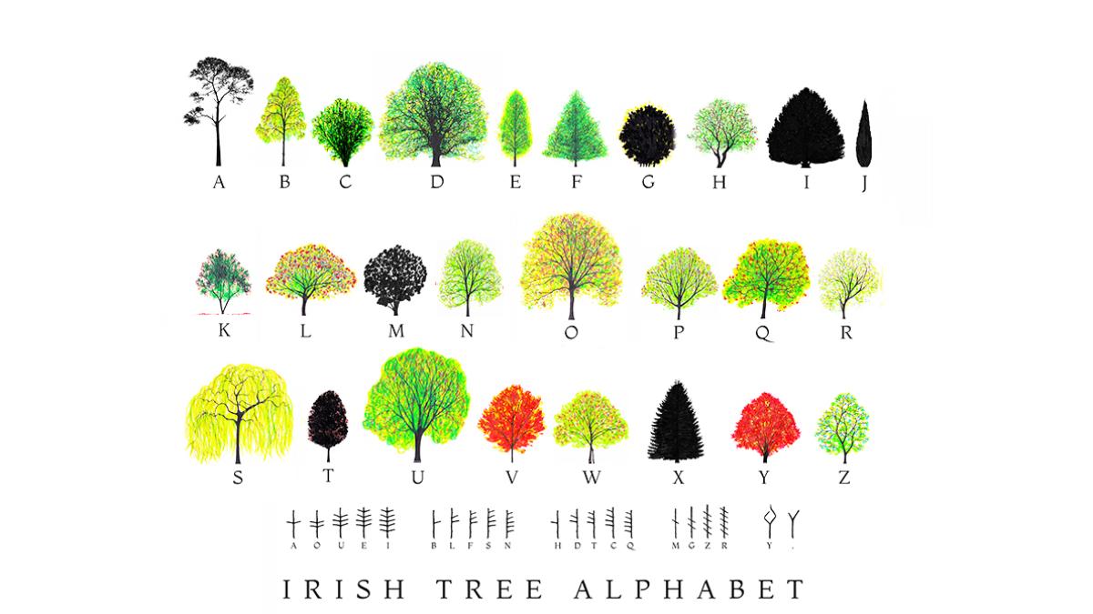 Why I made a new Irish Tree Alphabet