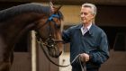 Jim Bolger:  said that the number one problem in Irish racing is drugs and urged the IHRB to step up testing. “I am concerned with the lack of policing in racing. It’s not up to the mark, it’s not up to scratch.” Photograph: Ryan Byrne/Inpho