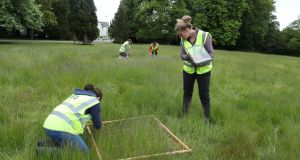 Ecologists from Trinity College Prof Jane Stout and   Dr Aoibheann Gaughran doing field survey work on the ground of Áras an Uachtaráin.