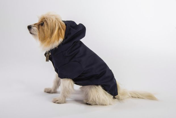 Dog coat from Temellini Milano