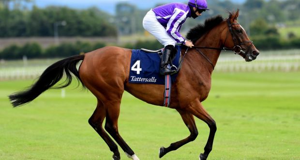 Aidan O’Brien’s Magical is looking to win an eighth Group One in Sunday’s Hong Kong Cup at Sha Tin. Photograph: PA Wire.