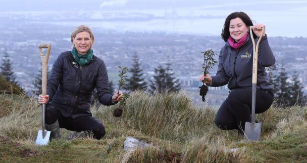 Senator Pippa Hackett, Minister of State for Forestry, and Imelda Hurley, chief executive of Coillte, launch the Dublin Mountains Makeover project in Ticknock, Co Dublin. Photograph: Robbie Reynolds 
