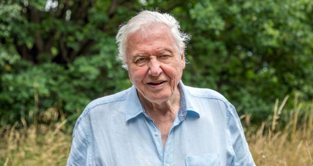 Attenborough’s latest work shows the resilience of the natural world Photograph:  Gavin Thurston /Silverback Films 