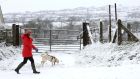 Met Éireann issues a yellow weather warning for low temperatures and ice: A a woman walking her dog in the snow near the port town of Larne, Co Antrim. Photograph: Peter Morrison/AP