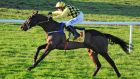  Al Boum Photo ridden by Paul Townend: the nine-year-old enjoyed his usual preparation recently with a straightforward victory at Tramore. Photograph:  PA Wire