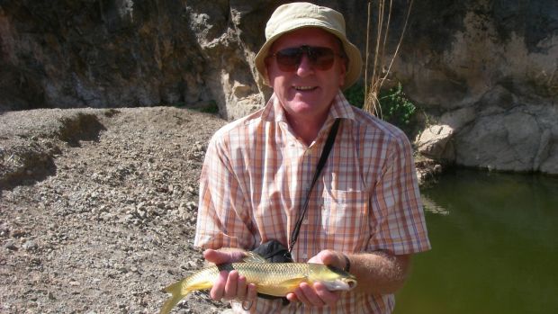 No llueve en España, pero la abundancia de Barbel en las piscinas de rocas