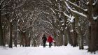 A snow scene in Fairview Park, Dublin during the 2018 ‘Beast from the East’.  Photograph: Dara Mac Donaill/The Irish Times