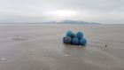 Mystery blue balls washed up on Dollymount Strand, Dublin. Photograph: Brian Bolger
