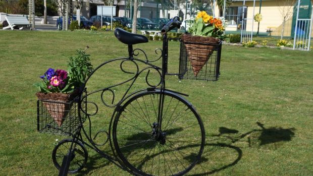 Bicycle made from recycled parts is one of the lots in the Rosslare charity sale