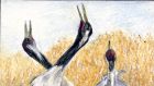 Cranes in courting dance. Illustration: Michael Viney