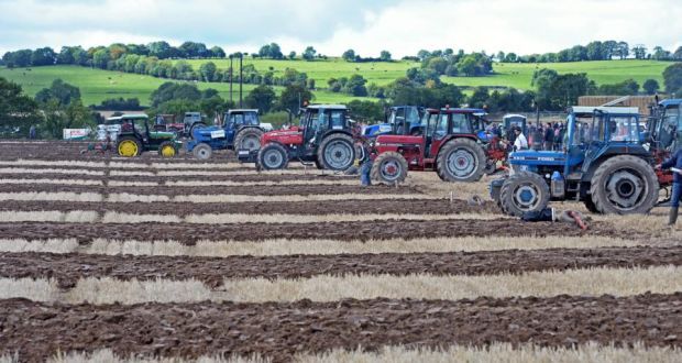  A programme of online activities including virtual content promoting exhibitors is planned for Ploughing Week this year between September 15th and 17th. Photograph: Eric Luke/The Irish Times