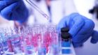 In 2020, GenoME Diagnostics won All Ireland Best New Start Company in the Intertrade Ireland Seedcorn competition. Photograph: iStock
