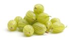 Gooseberries usually begin to appear on supermarket shelves in June. Photograph: iStock