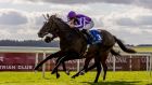 High Definition is one of six entries for trainer Aidan O’Brien for Saturday’s Epsom Derby. Photograph: Morgan Treacy/Inpho