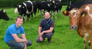 Teagasc to host 2021 European Seminar on Extension and Education Conference