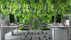 Creating a sustainable workplace means accounting for many different aspects from energy usage to employee supports. Photograph: iStock