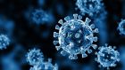 Last January, at the peak of the third wave of the pandemic, more than 2,000 people were hospitalised with coronavirus.