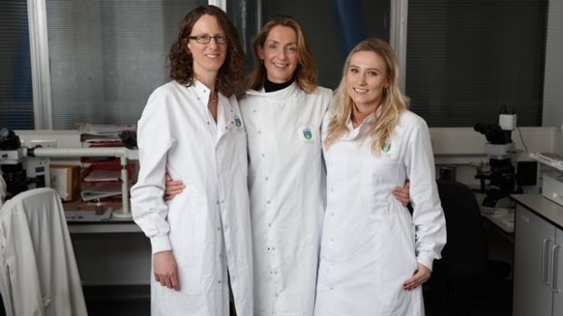 The AI_PREMie team: Prof Fionnuala Ní Áinle; Prof Patricia Maguire and Dr Paulina Szklanna. Photograph: Fran Veale