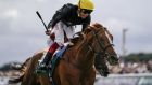 Stradivarius is bidding for a fourth-consecutive Ascot Gold Cup win. Photograph: Alan Crowhurst/Getty