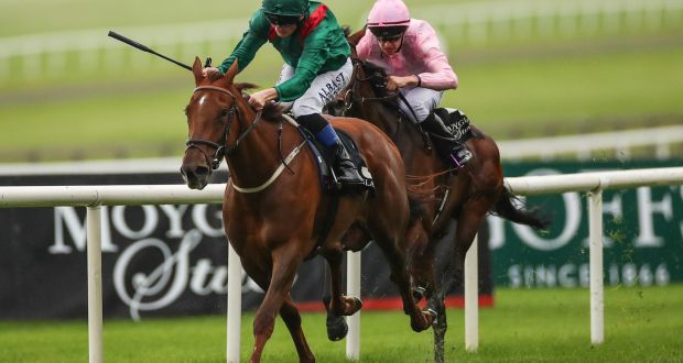 Tarnawa: The Aga Khan-owned daughter of Shamardal  gave Dermot Weld a first  Breeders Cup success when scoring under  Colin Keane at Keeneland in the US. Photograph: James Crombie/Inpho