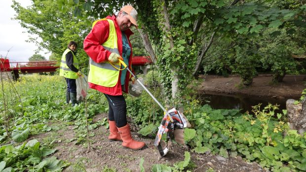 Bernie Roche and Philippa Carr from Rathfarnham remove litter from the River Dodder on Saturday. Photograph: Alan Betson / The Irish Times