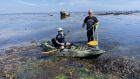 Mick Berry of Coastwatch and his son Shem after paddling around the extensive seagrass bed at Kilmore Quay, Co Waterford, in an effort to remove sargassum invasive seaweed.
