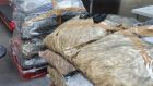 If all 2,000 bags are found to contain cocaine, as is suspected, the potential street value of the haul will be up to €35 million. Photograph: An Garda Síochána