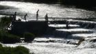Swimmers playing in the Weir at Lucan during blazing sunshine. Photograph: Alan Betson / The Irish Times