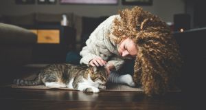 ‘He had sent a lease but it had no mention of cats and I didn’t sign it as we changed the rental price. I needed to wait for him to send an updated lease. Then he sent it and I saw the ‘no cats’ clause,’ reader Suzanne writes. Photograph: iStock