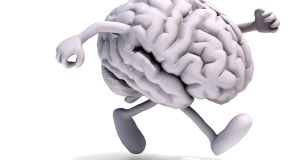 In terms of research, white matter has been treated  like ‘the ugly, neglected stepsister’ of grey matter –  ignored and misjudged.. Photograph: iStock