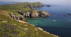 Saltee Islands are now one of Europe’s most significant bird sanctuaries.