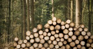 Basic timber product prices have increased by as much as 60 per cent in the Republic, according to some estimates. Photograph: iStock