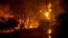 Flames engulf the forest near ancient Olympia in western Greece. Photograph: Eurokinissi/AFP via Getty Images