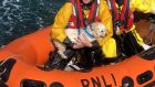 The crew gave the dog water and wrapped her in a blanket before bringing her to an emotional reunion with her owners. Photograph:  Dunmore East RNLI