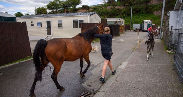 Spring Lane halting site in Cork. Photograph: Daragh McSweeney/Provision