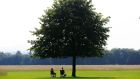  Members of the public relaxing in the Phoenix Park, Dublin. Photograph: Gareth Chaney/Collins