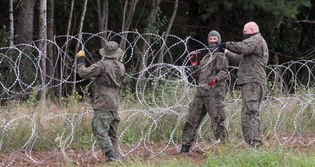 Barbed wire installed on the border between Poland and Belarus near the town of Grzybowszczyzna in northeast Poland. Photograph: Artur Reszko/EPA