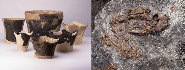 Des poteries Jomon excavées dans la zone d'amas de coquillages d'Odake au Japon et un squelette enterré dans ce site qui avait une pratique funéraire spécifique dans laquelle le corps était placé dans une position fléchie avec les jambes pliées.  Photographie : Shigeki Nakagome
