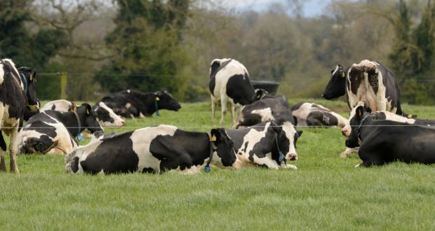 Agriculture-derived methane, the vast majority of which is emitted by livestock, makes up about 65 per cent of agricultural emissions. Photograph: Alan Betson