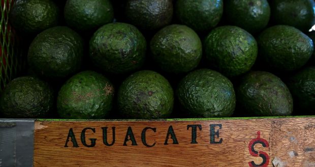 Smash hit: when avocado on toast caught on around the world, it made a staple food unaffordable in Mexico.  Photograph: Justin Sullivan/Getty