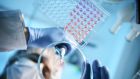 Medical scientists carry out diagnostic testing of patient samples in acute hospitals, including urgent testing for Covid-19. Photograph: iStock