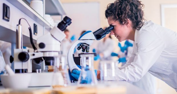 Groups such as the Royal Irish Academy have argued that the role of chief scientific advisor should not be combined with the head of a national research funder in order to  avoid potential conflicts of interests. Photograph: iStock