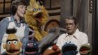 Would it be ’government propaganda’ if Big Bird recommended wearing your seatbelt or not running with scissors? Photograph: Disney General Entertainment Content via Getty Images