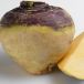 Rutabaga is the common name for a swede in North America