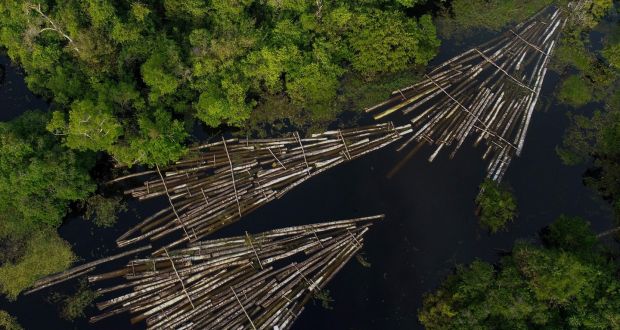 A Brazilian advocacy group says Bolsonaro’s government went to Cop26 ‘knowing the deforestation data and hid it’. Photograph: Ricardo Oliveira/AFP via Getty